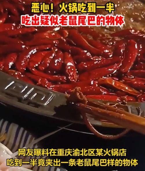 网友爆料火锅店事件视频,网友爆料视频揭露惊人一幕 第1张 网友爆料火锅店事件视频,网友爆料视频揭露惊人一幕 第1张